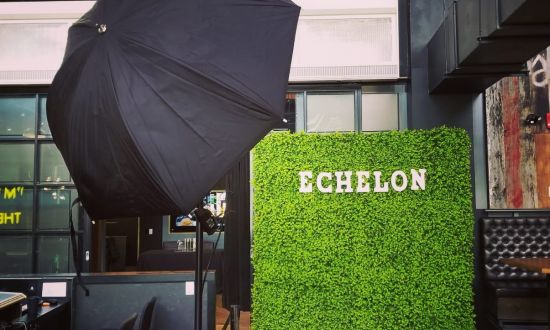 Green Boxwood Hedge Wall Echelon