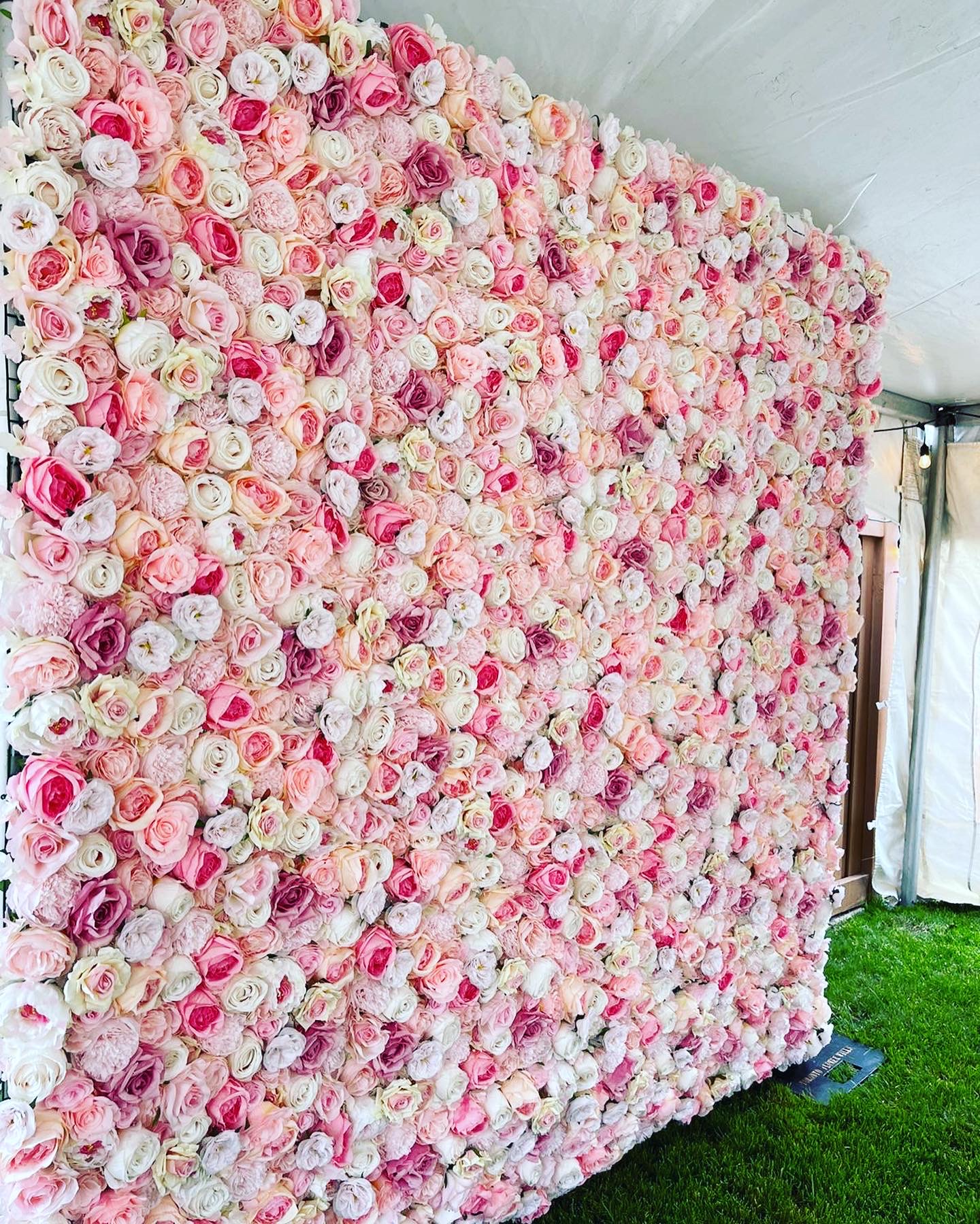Pink roses flower wall backdrop