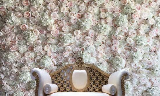 Blush Pink Rose with Hydrangea Flower Wall